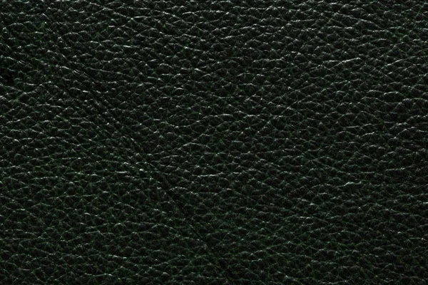 Textura de couro verde escuro perfeito . — Fotografia de Stock