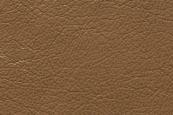 Stylish leather background in delicate brown tone. — Stock Photo, Image