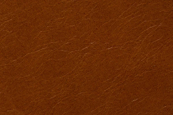 Контрастная текстура кожи в обычном коричневом цвете . — стоковое фото