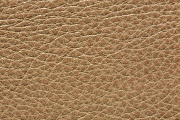 Beautiful light brown leather texture. — Stock Photo, Image
