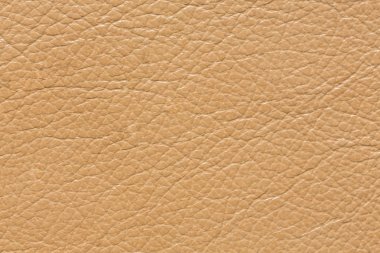 Zarif deri doku ideal bej sesi.