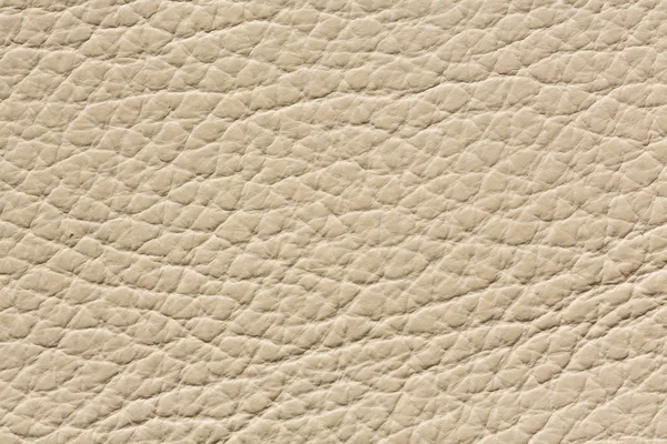 Light beige leather background for your design. — Stock Photo, Image