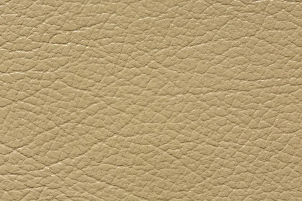 Exquisite leather texture in ideal white tone. — Stock Photo, Image