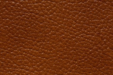 Muhteşem kahverengi deri doku.