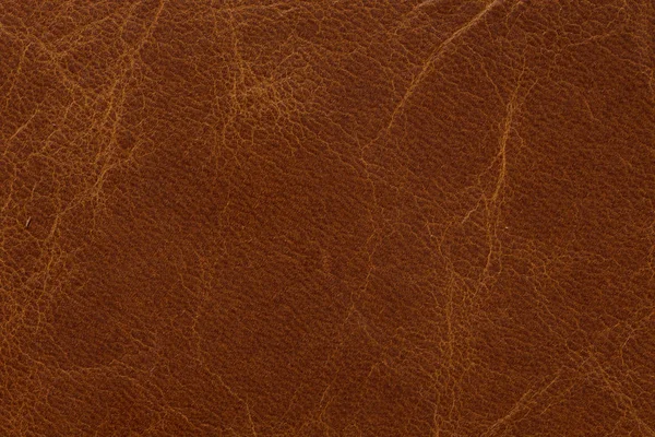 Texture classica in pelle color marrone semplice . — Foto Stock