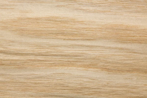 Affascinante texture impiallacciatura beige chiaro per il tuo nuovo design . — Foto Stock