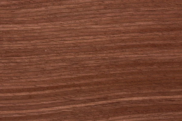 Стильна текстура коричневого шпону для вашого дорогого нового проекту . — стокове фото