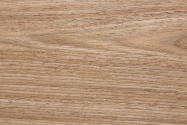 Yeni meşe venner doku etkili bireysel tasarımınız için.