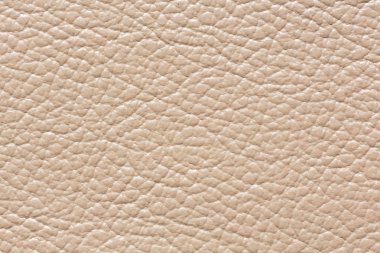 İdeal klasik beyaz deri doku.