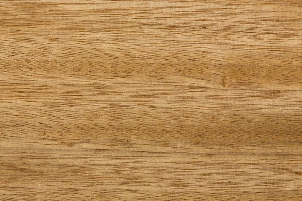 Блискуча текстура дерев'яного шпону в світло-жовтому тоні . — стокове фото