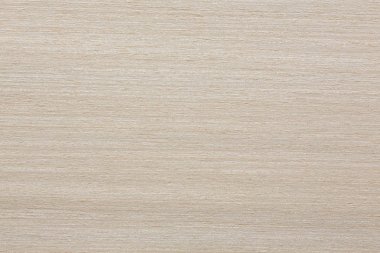 Karlı beyaz akçaağaç kaplama doku projeniz için.