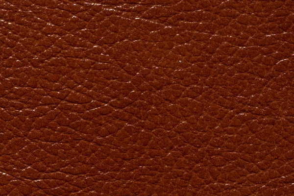 반짝이 표면으로 세련 된 갈색 가죽 텍스처. — 스톡 사진