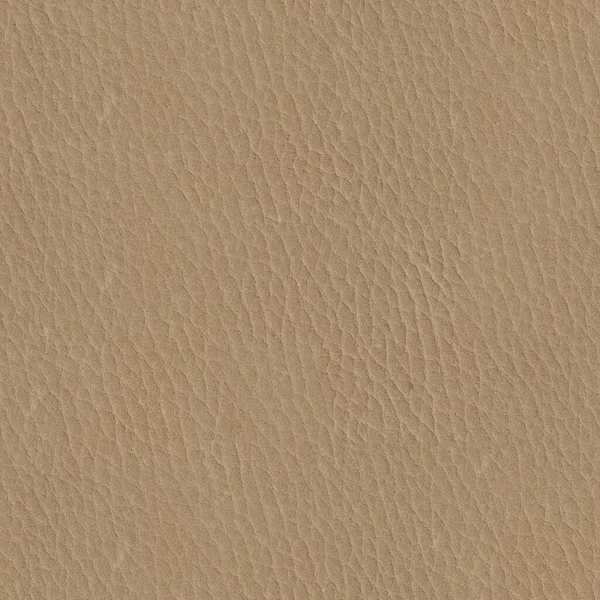 Textura de piel beige natural abstracta. Fondo cuadrado sin costuras, azulejo listo . —  Fotos de Stock