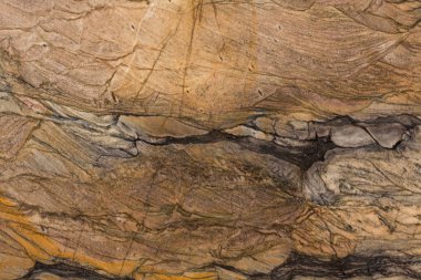 Zarif tasarımın için eşsiz yeni arkaplan.