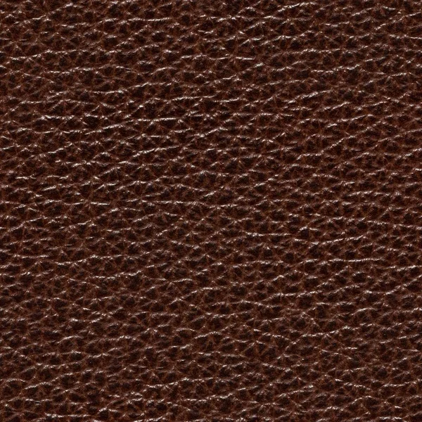 Snygg lackerad läder bakgrund i brun ton. — Stockfoto