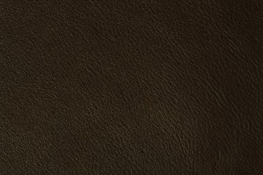 Koyu yeşil lider dokusu. Sanat veya tasarım projelerinde arkaplan olarak kullanılabilir.