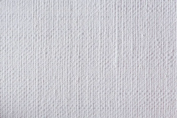 White canvas texture or background. High quality background.