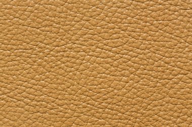 Deri arka planda inanılmaz nazik sesi.