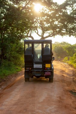 Afrika savanasında gün batımı, safari arabaları ve hayvanların siluetleri, safari gezisi..