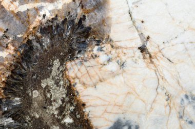Quartzite arkaplanı koyu ve açık renkli. Yüksek kalite doku.