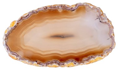 Moda tasarımının bir parçası olarak yeni bir tonda mükemmel akort.