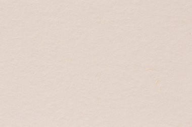 Pastel işçiliği beyaz krema dut çiçeği kaba kağıt soyut arkaplan desenli.