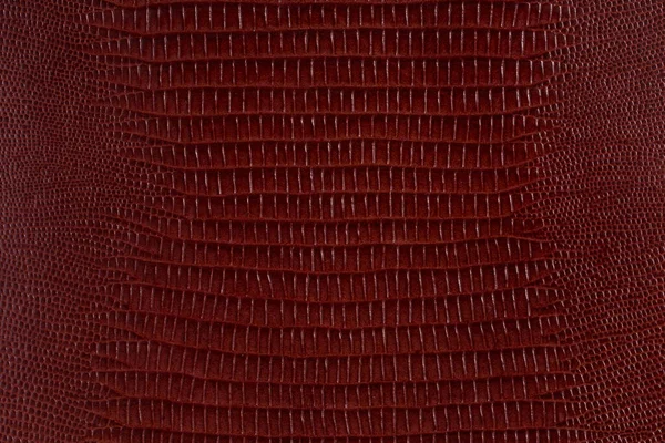 Textura de couro de réptil marrom. Pode ser usado como fundo em projetos de arte ou design . — Fotografia de Stock