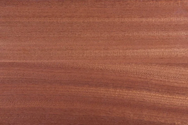 Primo piano della texture naturale impiallacciatura di legno rosso brillante . — Foto Stock