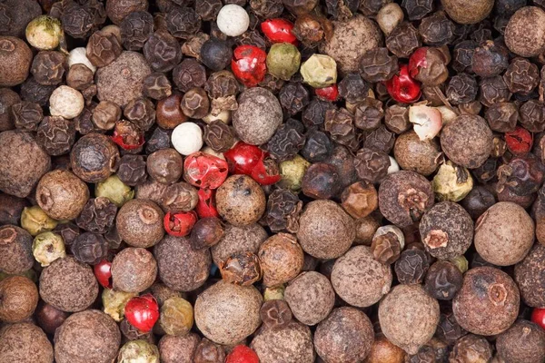 Spice dried peas peas white, black, red, mix, pepper mills. Close up background. — Stock Photo, Image