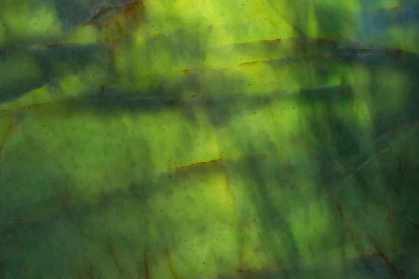 Привлекательная стильная текстура в новом зеленом тоне . — стоковое фото
