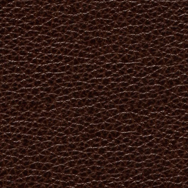 Exquisite leather background in saturated brown tone. — Stock Photo, Image