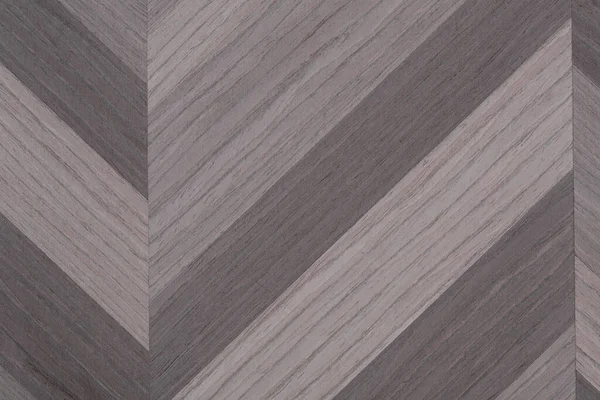 Excellent fond de placage gris dans le cadre de votre design élégant. Texture en bois de haute qualité . — Photo