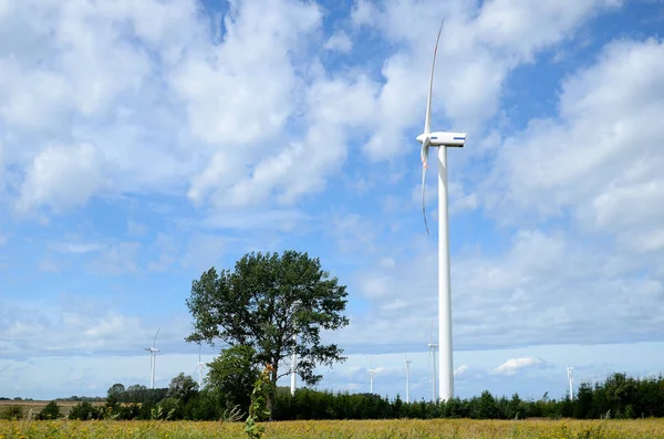 Wind farm (Poland) — Stock Photo, Image