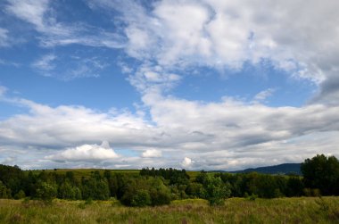 Dağ çayır Polonya - Beskidy Mountains