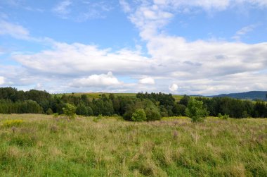 Dağ çayır Polonya - Beskidy Mountains