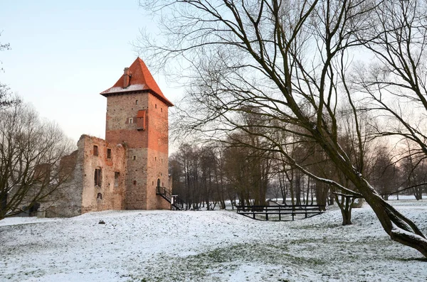 Antiguo Castillo Chudow Polonia Región Silesia —  Fotos de Stock