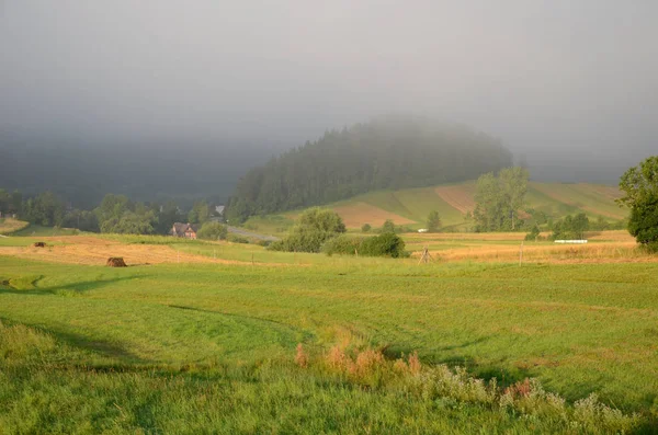 Champ Montagne Dans Brouillard Pieniny Pologne — Photo