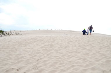 Kum tepeleri Polonya Slowinski Milli Parkı