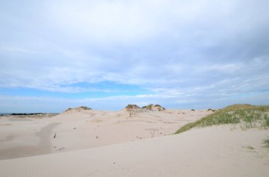 Kum tepeleri Polonya Slowinski Milli Parkı