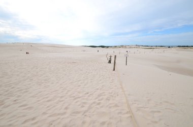 Kum tepeleri Polonya Slowinski Milli Parkı