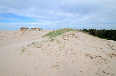 Kum tepeleri Polonya Slowinski Milli Parkı