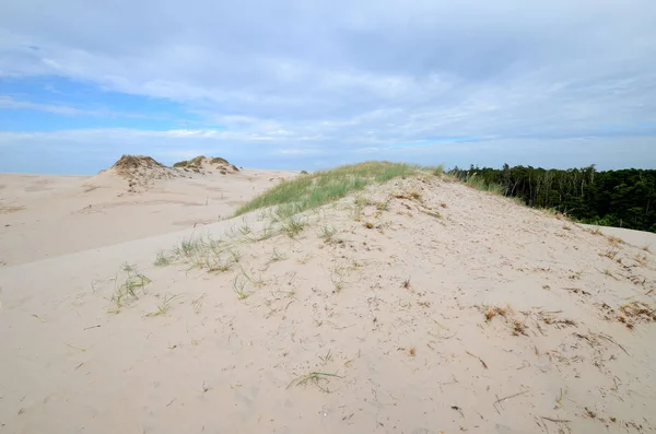 Kum tepeleri Polonya Slowinski Milli Parkı