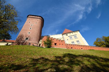 Krakow, Polonya - Wawel Kalesi