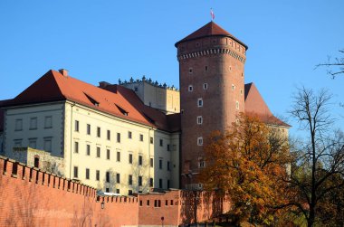 Krakow, Polonya - Wawel Kalesi