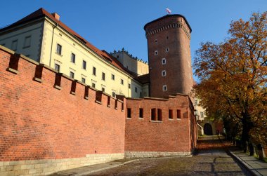 Krakow, Polonya - Wawel Kalesi