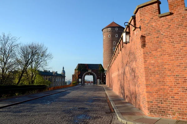 The castle in Krakow (Wawel) — Stock Photo, Image