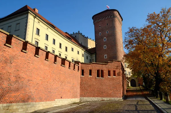 Hrad Krakově Polsko Wawel — Stock fotografie