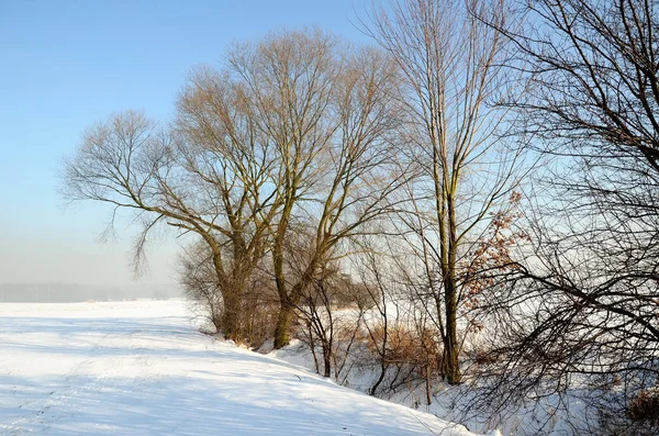Winterlandschaft Polen Schnee Sonnigen Tagen — Stockfoto