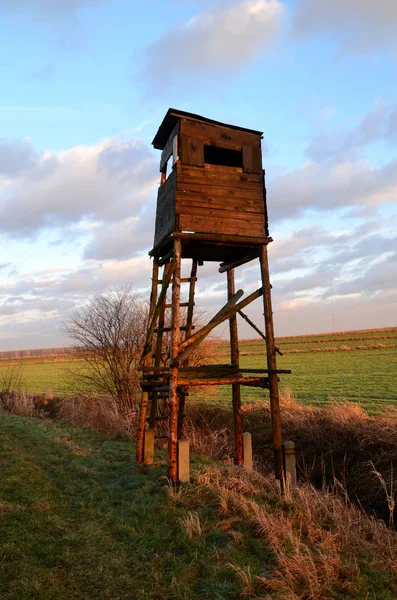 Gün batımında avcılık minber Polonya, Silezya bölgesinin