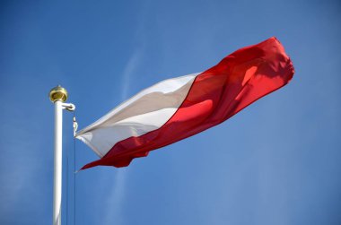 Mavi gökyüzü karşı rüzgarda Polonya bayrağı